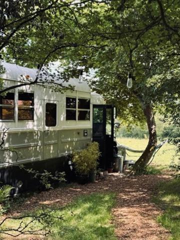 American School Bus Retreat With Hot Tub In Sussex Meadow Uckfield Exterior foto